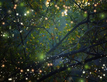 A cover of "Filming Space" cluster. The owner is trinityloeffler. The cluster consists of 1 element.