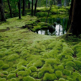 A cover of "🪞🪞🪞" cluster. The owner is kyliealexis. The cluster consists of 117 elements.