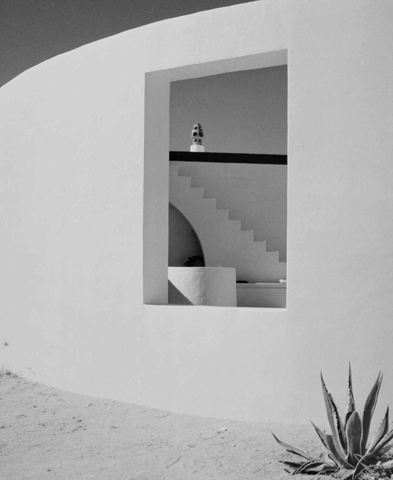 An image added by publiclibrary on Sep 17, 2023. May present: black-and-white, tints and shades, black, plant, building.