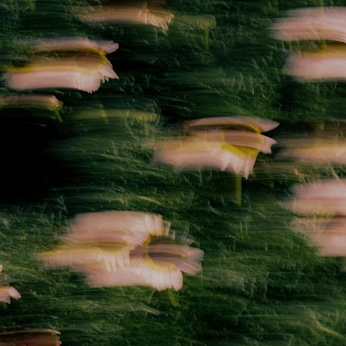 A cover of "placas" cluster. The owner is yam.arc. The cluster consists of 22 elements.