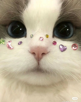 A cover of "MISC<3" cluster. The owner is nnnnnnnnnaik. The cluster consists of 1 element.