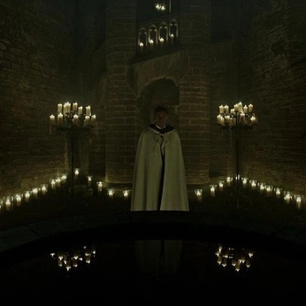 A cover of "psl: volmer." cluster. The owner is susuwatari. The cluster consists of 14 elements.