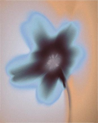 A cover of "wildflowers" cluster. The owner is ridzky. The cluster consists of 1 element.