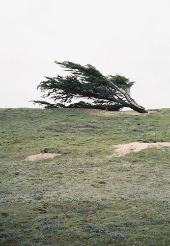 A cover of "Atmah" cluster. The owner is nemnogoslovye. The cluster consists of 1051 elements.