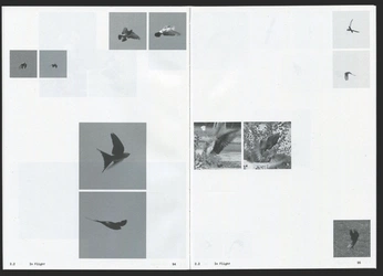 A cover of "Editorial" cluster. The owner is nicolajane. The cluster consists of 13 elements.