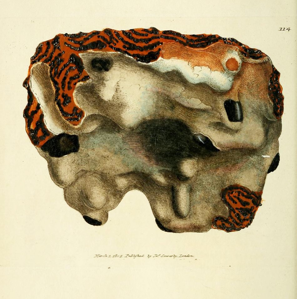 06bc4db9-f7d3-42ca-bbbd-76812f0f4bab