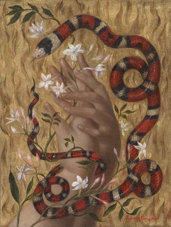 A cover of "Fieldguide" cluster. The owner is zackfletcher. The cluster consists of 1 element.