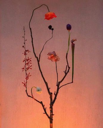 A cover of "Ikebana" cluster. The owner is crisiis. The cluster consists of 8 elements.