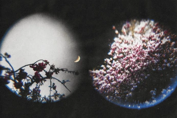 A cover of "Flower Moon" cluster. The owner is jenevievehubbard. The cluster consists of 3 elements.