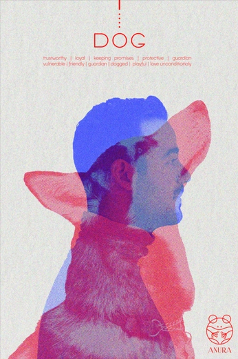 A cover of "serigrafía" cluster. The owner is lauloreenzo. The cluster consists of 13 elements.