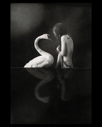 A cover of "Envy" cluster. The owner is mad.zim. The cluster consists of 3 elements.