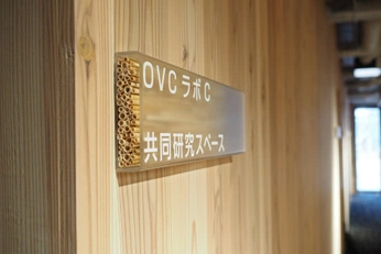 A cover of "告示牌" cluster. The owner is demairian. The cluster consists of 11 elements.