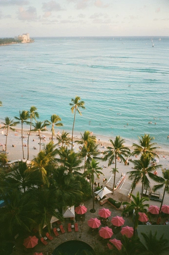 A cover of "🌿" cluster. The owner is martina.1234. The cluster consists of 30 elements.