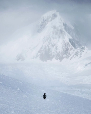 A cover of "go out and explore" cluster. The owner is heyhana. The cluster consists of 4 elements.