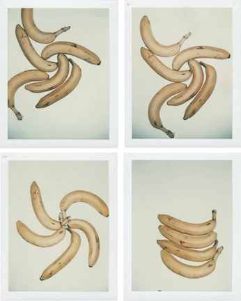 A cover of "FRUIT" cluster. The owner is lench. The cluster consists of 74 elements.