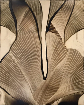 A cover of "body of work" cluster. The owner is beingoflight. The cluster consists of 20 elements.