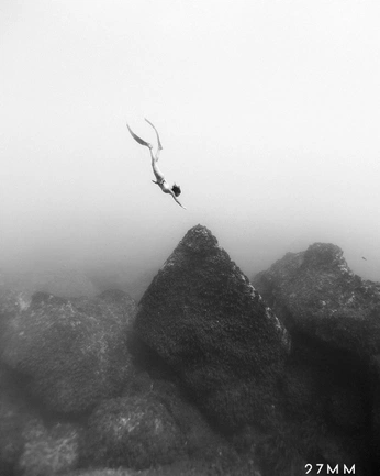 A cover of "IIXVI" cluster. The owner is ajdapro. The cluster consists of 6 elements.