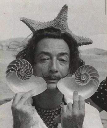 A cover of "Design Gráfico | REFS" cluster. The owner is priscilavanzin. The cluster consists of 86 elements.