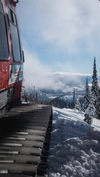 A cover of "Sport" cluster. The owner is marco. The cluster consists of 1 element.