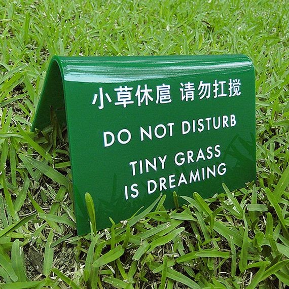 Graphic Design