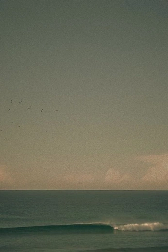 A cover of "Escape" cluster. The owner is catsouffle. The cluster consists of 55 elements.