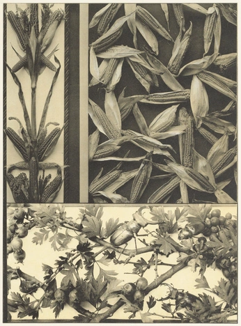 A cover of "Museum" cluster. The owner is kasiek. The cluster consists of 15 elements.