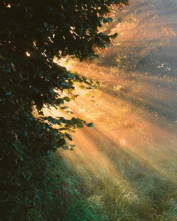 A cover of "sacred" cluster. The owner is hannahcravens. The cluster consists of 7 elements.