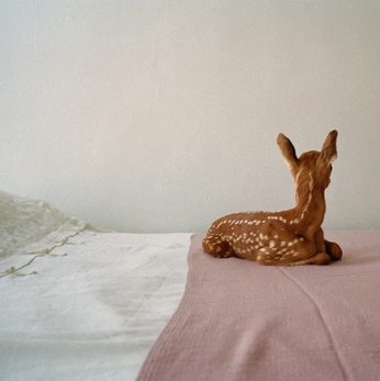 A cover of "bubblegum" cluster. The owner is alondra7. The cluster description is "°•••°•••°•••°". The cluster consists of 30 elements.