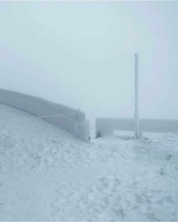 A cover of "windstorm" cluster. The owner is contrjour. The cluster consists of 205 elements.