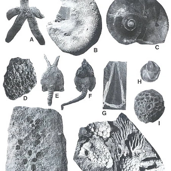 A cover of "m u n d o p e q u e n o" cluster. The owner is jpnvix. The cluster consists of 17 elements.
