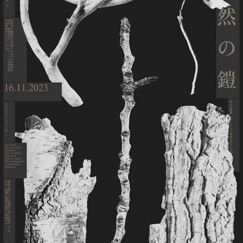 A cover of "▪️" cluster. The owner is baudolinonino. The cluster consists of 12 elements.