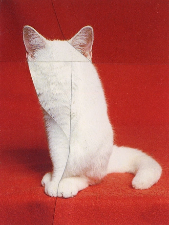 A cover of "COLLAGE." cluster. The owner is bigred. The cluster consists of 4 elements.