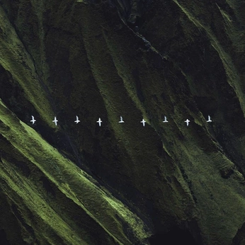 A cover of "Photography" cluster. The owner is joris.kahl. The cluster consists of 452 elements.