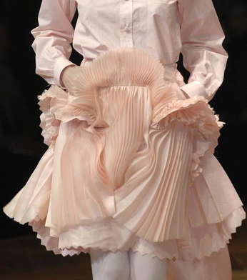 A cover of "Fashion" cluster. The owner is erythroxylaceae. The cluster consists of 1 element.