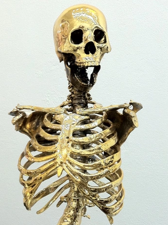 A cover of "Bone" cluster. The owner is belpasi. The cluster consists of 1 element.