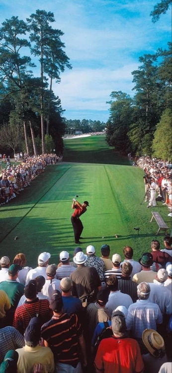 A cover of "Gulf" cluster. The owner is giorgio.jimenez. The cluster consists of 33 elements.