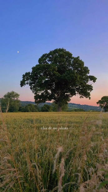 A cover of "Summer - June" cluster. The owner is everyday.almanac. The cluster consists of 5 elements.