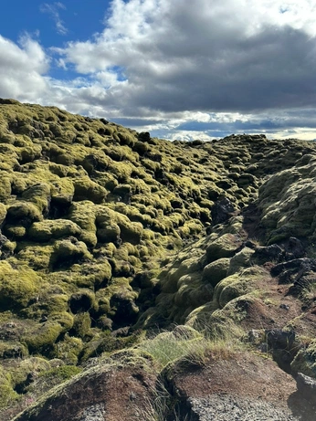 A cover of "suave" cluster. The owner is giulagiula. The cluster consists of 11 elements.