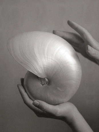 A cover of "Black and White Visuals" cluster. The owner is brightonjames. The cluster consists of 17 elements.