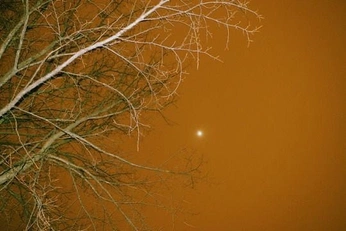 A cover of "Color" cluster. The owner is paintmeseagirl. The cluster consists of 1 element.