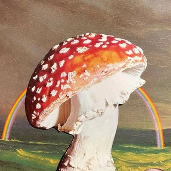 A cover of "Expand" cluster. The owner is noah. The cluster consists of 25 elements.