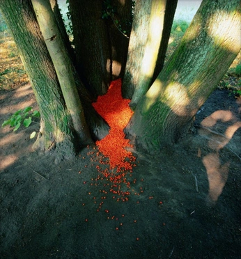 A cover of "LAUV x VOODOO" cluster. The owner is tsukimii. The cluster consists of 20 elements.