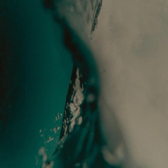 A cover of "2026: The Re-Up" cluster. The owner is rickysherrod. The cluster consists of 27 elements.