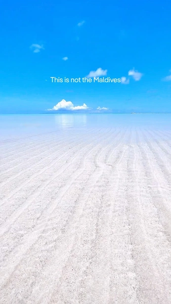 A cover of "Japan" cluster. The owner is wallbridge. The cluster consists of 43 elements.