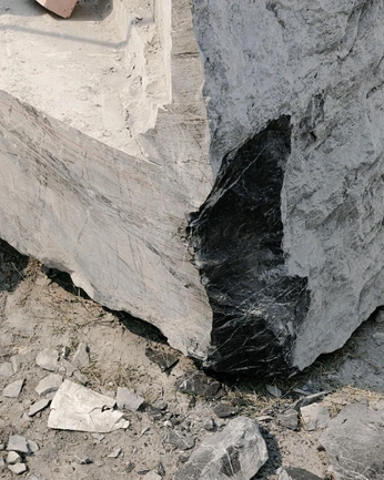 A cover of "Yundo Forest !" cluster. The owner is randyyyr0nd. The cluster consists of 7 elements.