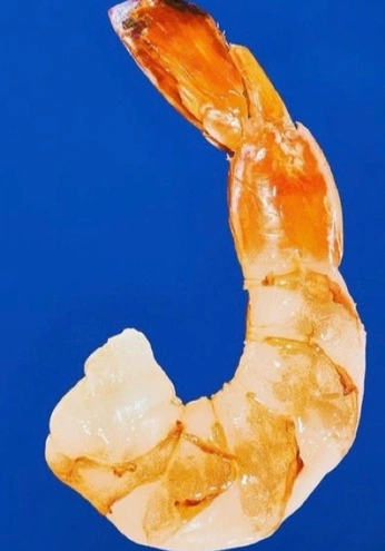 A cover of "printe ut" cluster. The owner is mashino. The cluster consists of 3 elements.