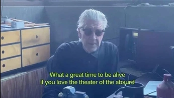 A cover of "*" cluster. The owner is finleydelaney. The cluster consists of 11 elements.