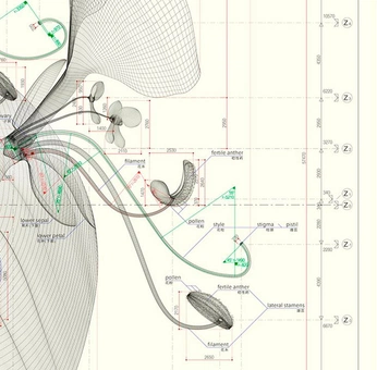 A cover of "Geometric wireframes" cluster. The owner is vasfrolik. The cluster consists of 37 elements.