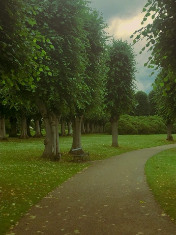 A cover of "My life" cluster. The owner is landmanshafist. The cluster consists of 23 elements.