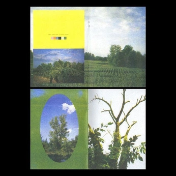 A cover of "Layout Inspo" cluster. The owner is cameronrelicke. The cluster consists of 10 elements.